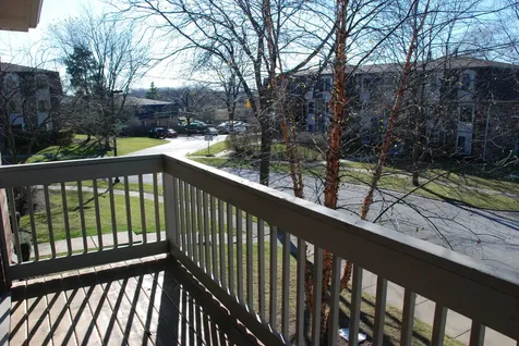 249 West Court Of Shorewood Court Vernon Hills IL 60061