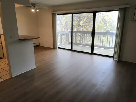 249 West Court Of Shorewood Court Vernon Hills IL 60061