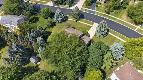 2976 Wedgewood Drive Dekalb IL 60115