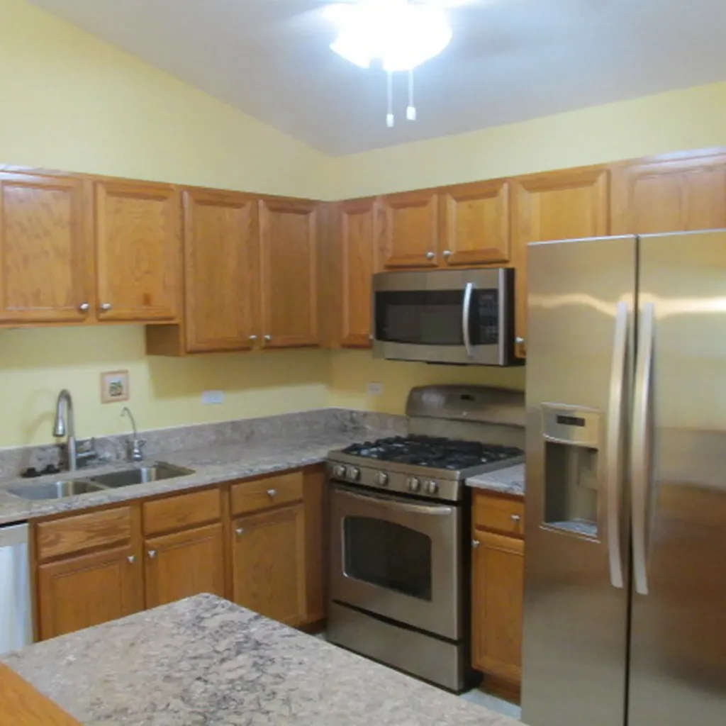 9336 Waterfall Glen Boulevard Darien IL 60561