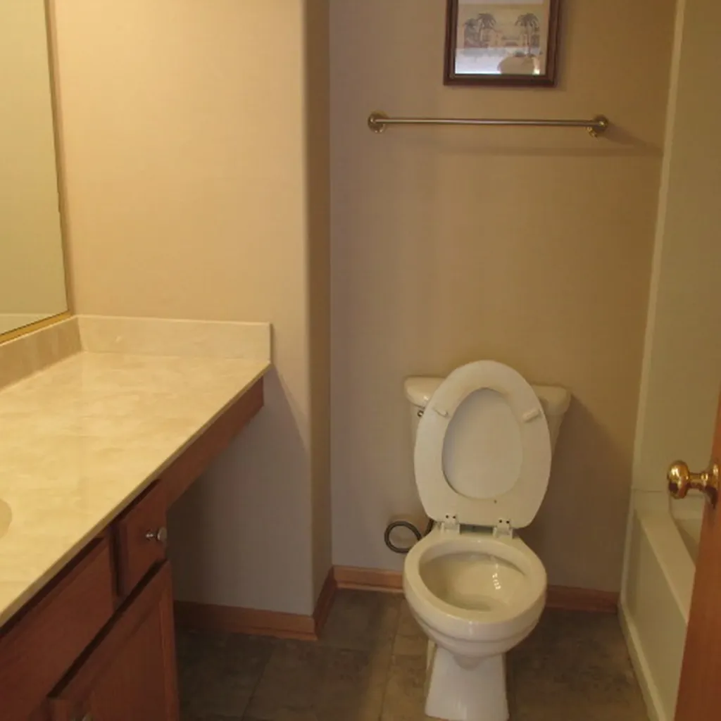 9336 Waterfall Glen Boulevard Darien IL 60561