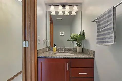 1137 Lockwood Court E Buffalo Grove IL 60089