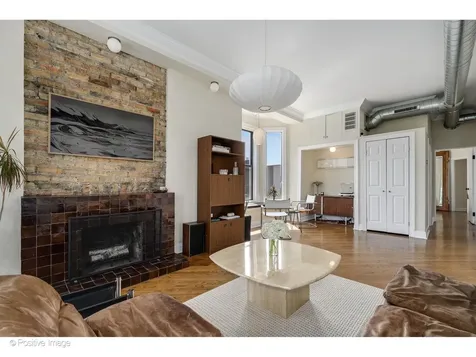 1135 West Webster Avenue Chicago IL 60614