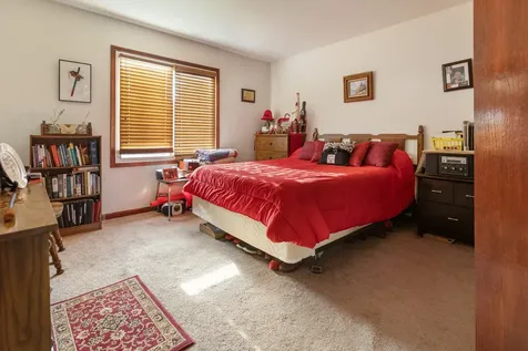 21158 Sophia Drive Matteson IL 60443