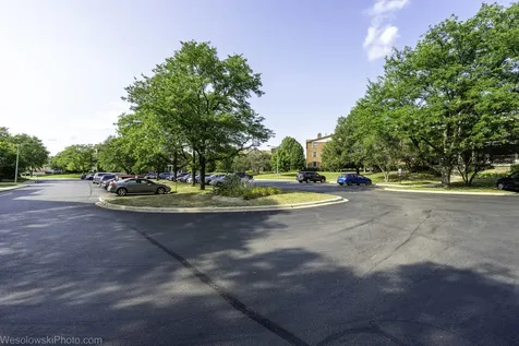 641 Hapsfield Lane Buffalo Grove IL 60089