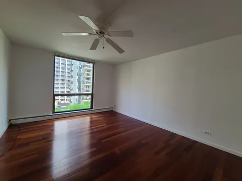 1310 North Ritchie Court Chicago IL 60610