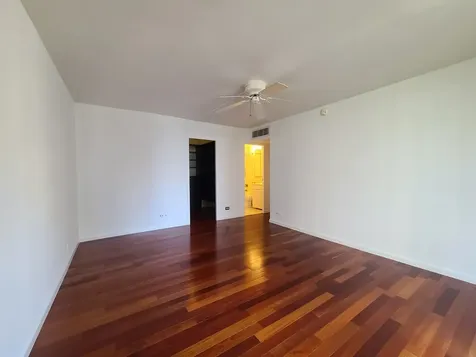 1310 North Ritchie Court Chicago IL 60610