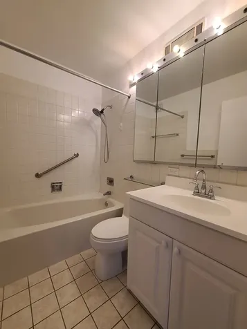 1310 North Ritchie Court Chicago IL 60610