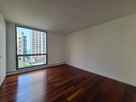1310 North Ritchie Court Chicago IL 60610