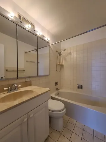 1310 North Ritchie Court Chicago IL 60610