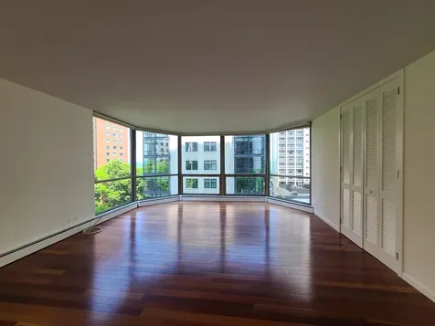 1310 North Ritchie Court Chicago IL 60610