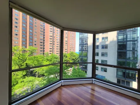 1310 North Ritchie Court Chicago IL 60610