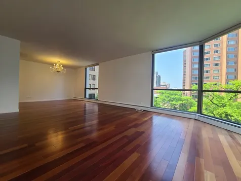 1310 North Ritchie Court Chicago IL 60610