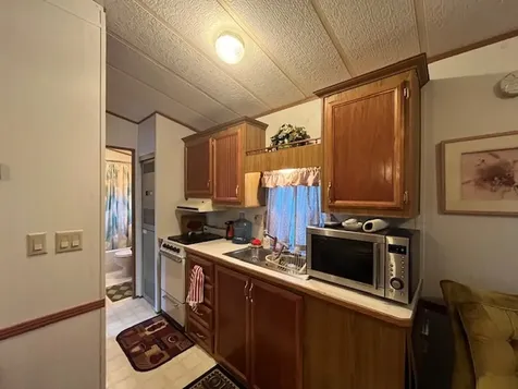 2795 East 28th Lot 908 Road Seneca IL 61360