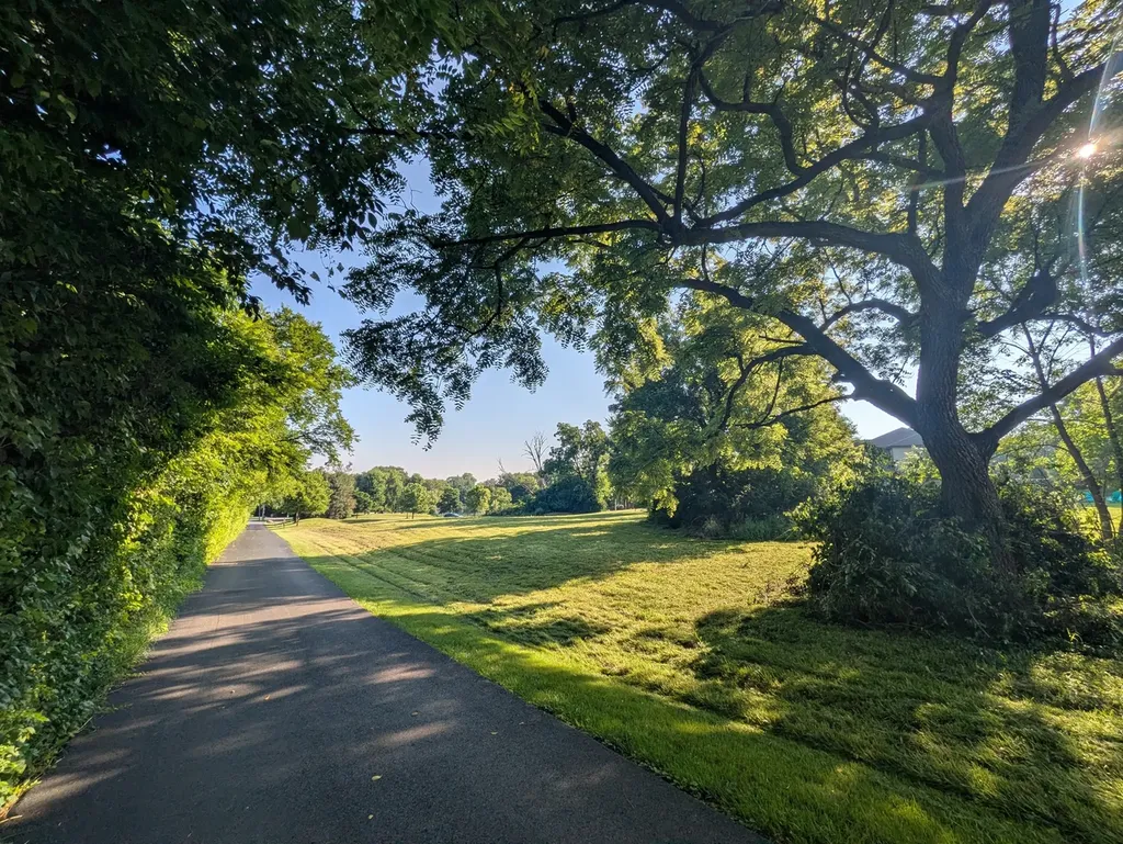 13131 Steeplechase Drive New Lenox IL 60451