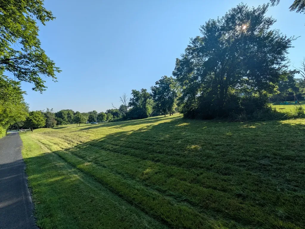 13131 Steeplechase Drive New Lenox IL 60451