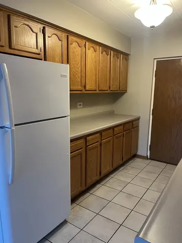 4754 West 101st Street Oak Lawn IL 60453