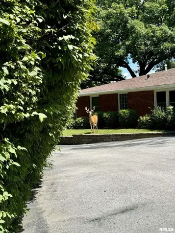 4640 5TH Avenue Moline IL 61265