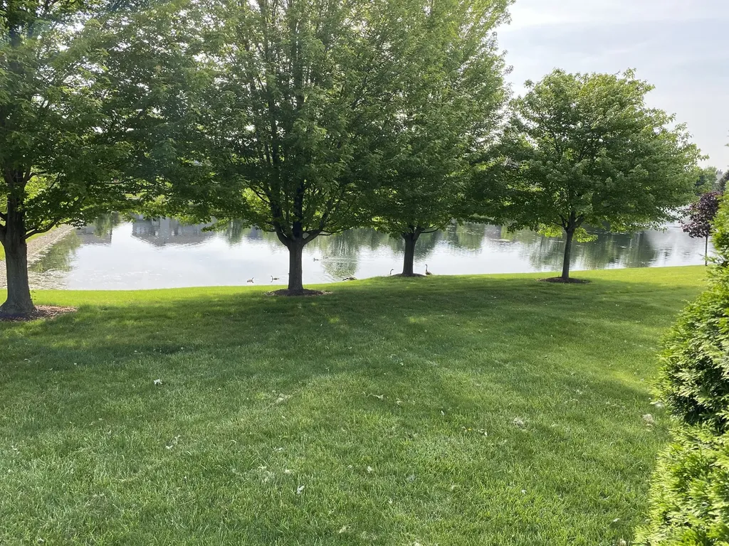2050 Rockland Drive Aurora IL 60503