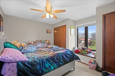 5 Paso Fino Street Lemont IL 60439