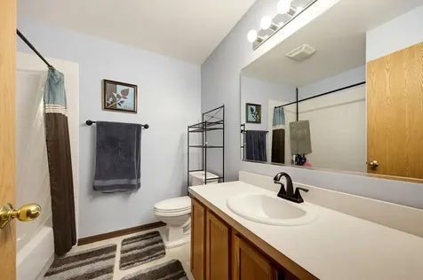 7411 Grandview Court Carpentersville IL 60110