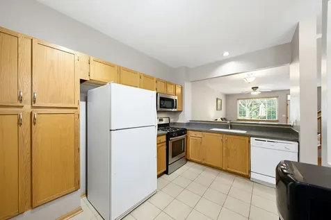 7411 Grandview Court Carpentersville IL 60110