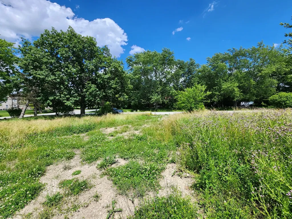 26114 South Victoria Lane Crete IL 60417