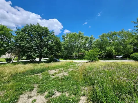 26114 South Victoria Lane Crete IL 60417