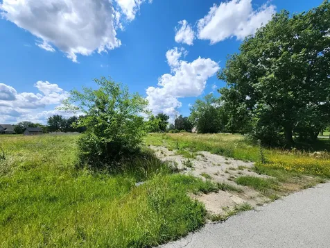 26114 South Victoria Lane Crete IL 60417