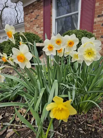 28W486 Mack Road West Chicago IL 60185