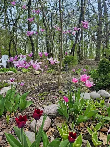 28W486 Mack Road West Chicago IL 60185