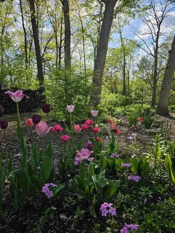 28W486 Mack Road West Chicago IL 60185