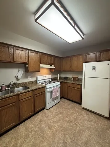 781 N Shady Oaks Drive Elgin IL 60120
