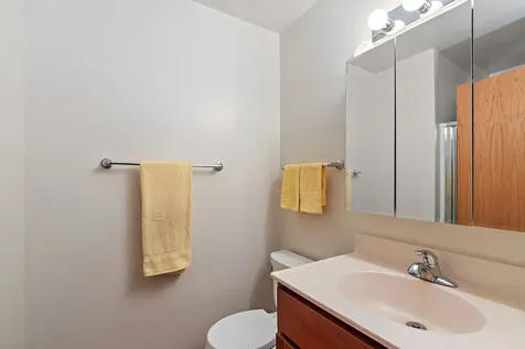 17 Garden Crescent Court Elgin IL 60123