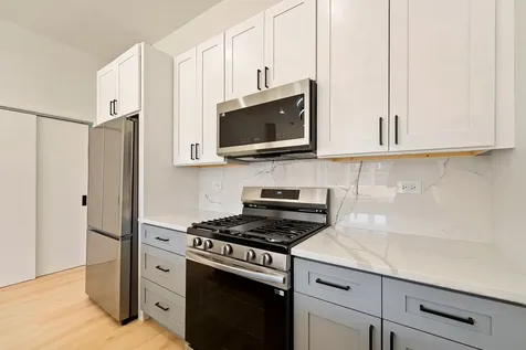 538 North Trumbull Avenue Chicago IL 60624