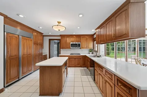 6515 Manor Drive Burr Ridge IL 60527