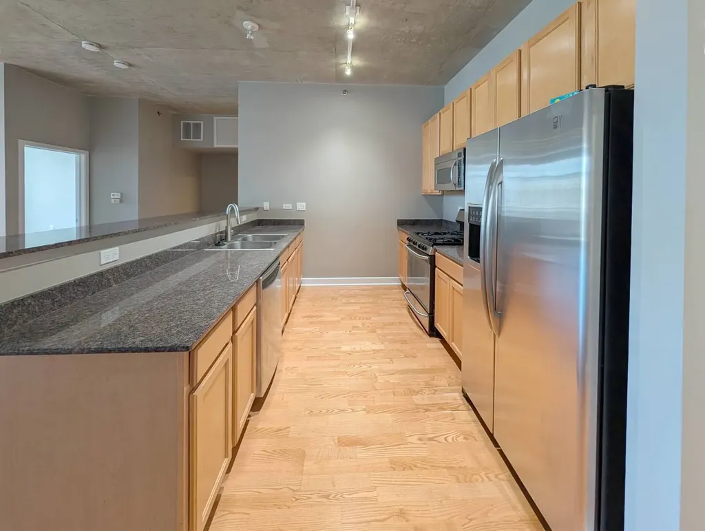 1305 South Michigan Avenue Chicago IL 60605