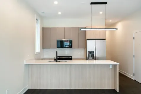 412 East 50th Place Chicago IL 60615