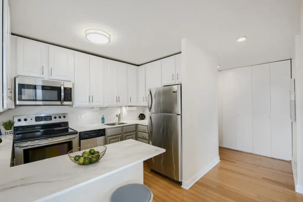 1455 North Sandburg Terrace Chicago IL 60610