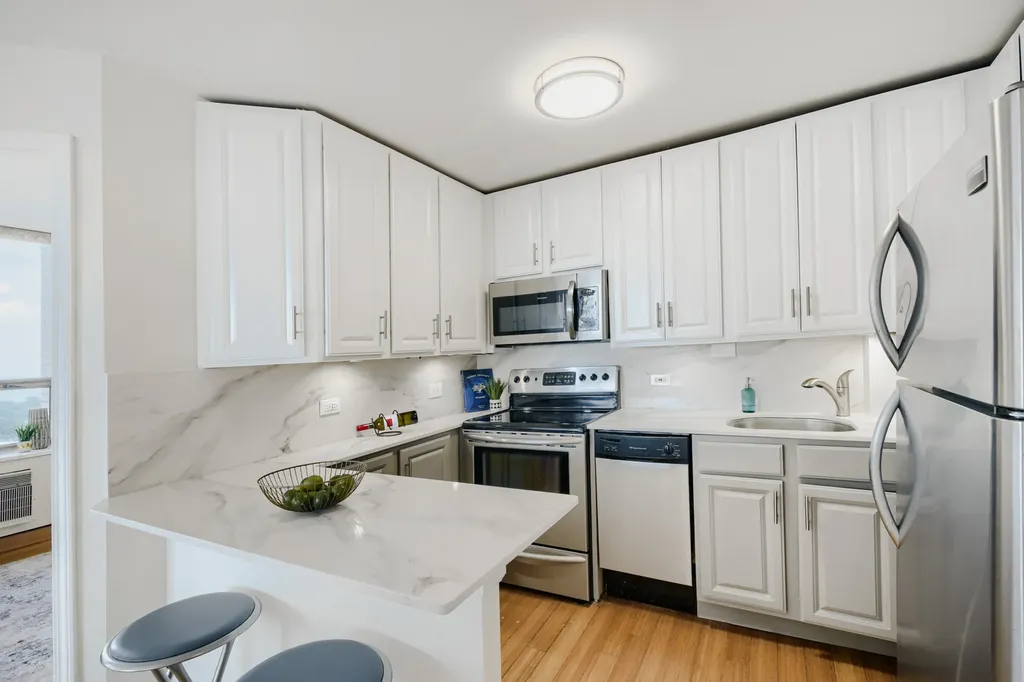 1455 North Sandburg Terrace Chicago IL 60610