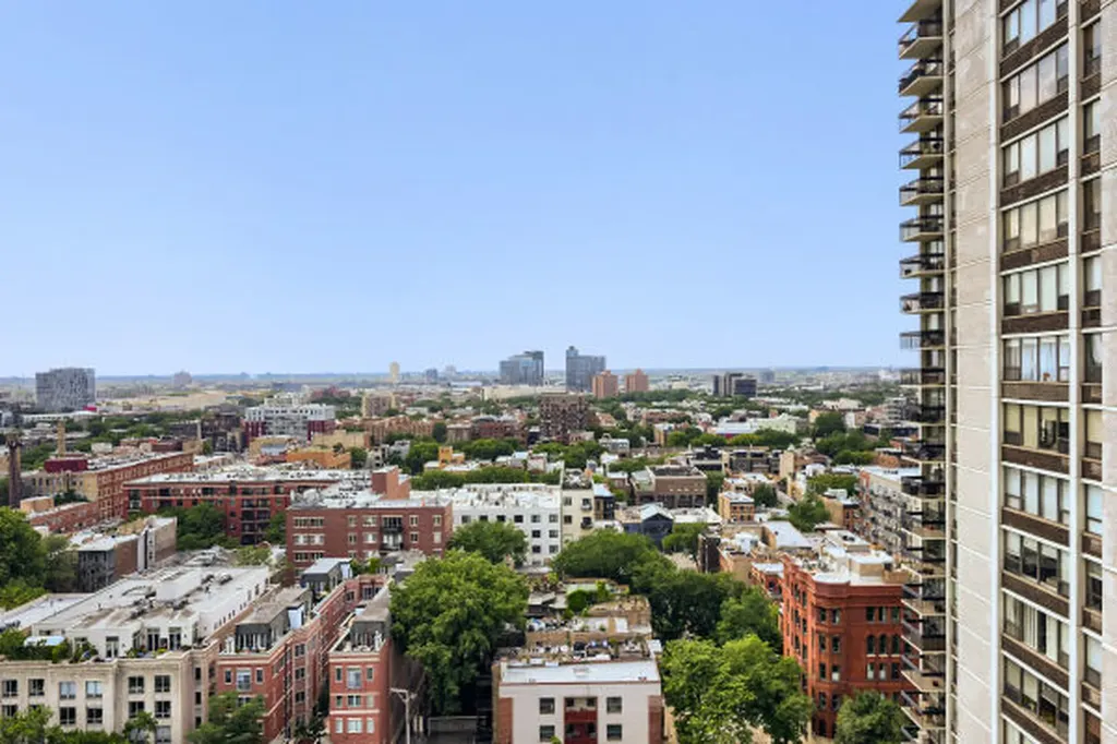 1455 North Sandburg Terrace Chicago IL 60610