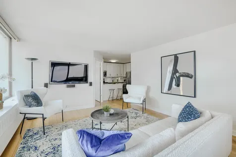 1455 North Sandburg Terrace Chicago IL 60610