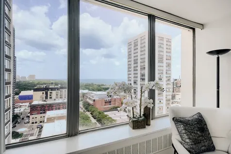 1455 North Sandburg Terrace Chicago IL 60610