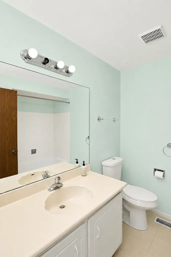 234 Deerpath Court Schaumburg IL 60193