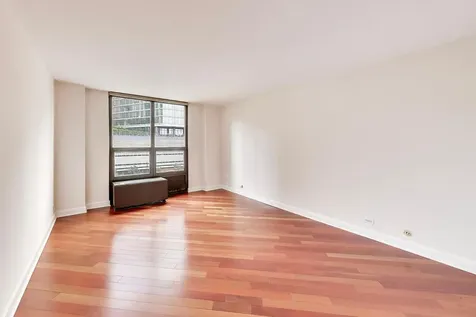 901 South Plymouth Court Chicago IL 60605