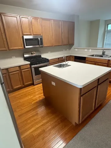 707 North Telluride Court Vernon Hills IL 60061