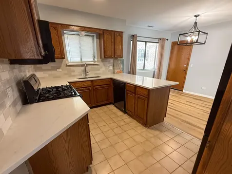 8504 West Catherine Avenue Chicago IL 60656
