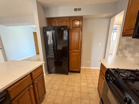 8504 West Catherine Avenue Chicago IL 60656