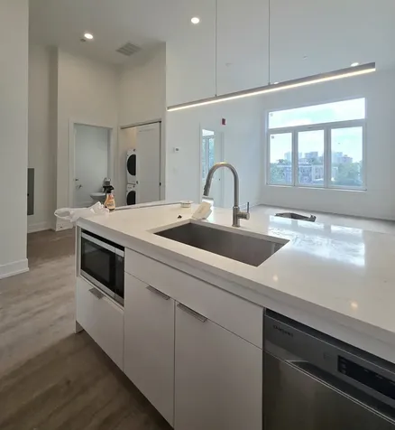 1537 North Orleans Avenue Chicago IL 60610