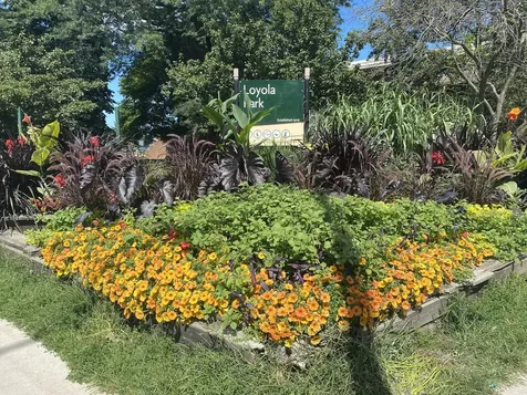 1122 West Lunt Avenue Chicago IL 60626